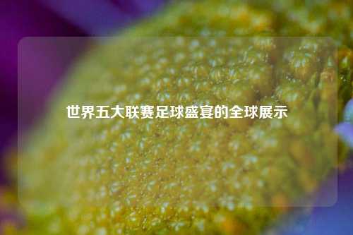 世界五大联赛足球盛宴的全球展示