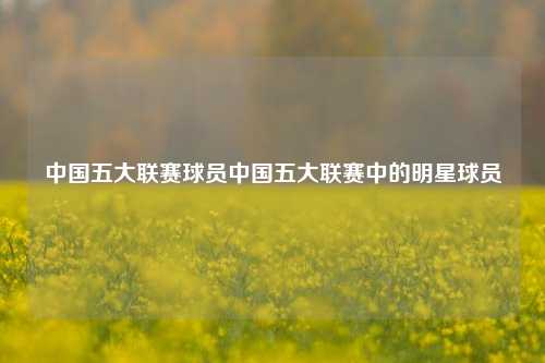 中国五大联赛球员中国五大联赛中的明星球员