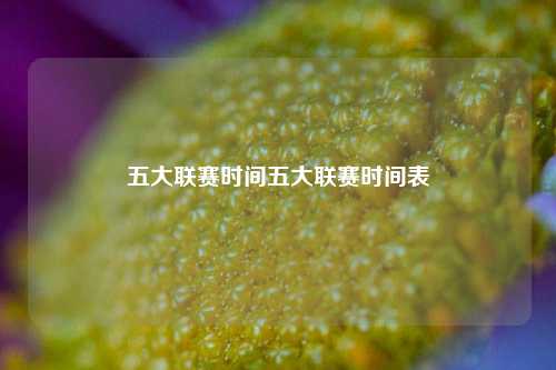 五大联赛时间五大联赛时间表