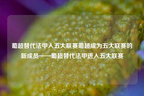 葡超替代法甲入五大联赛葡超成为五大联赛的新成员——葡超替代法甲进入五大联赛