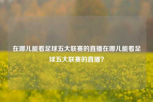在哪儿能看足球五大联赛的直播在哪儿能看足球五大联赛的直播？