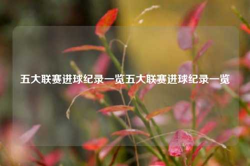 五大联赛进球纪录一览五大联赛进球纪录一览