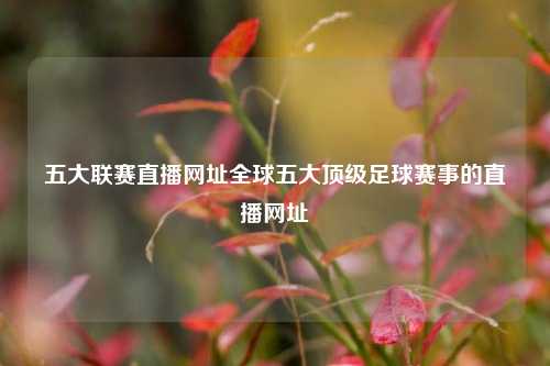 五大联赛直播网址全球五大顶级足球赛事的直播网址