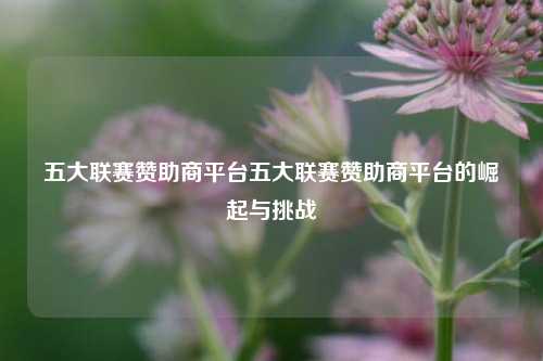 五大联赛赞助商平台五大联赛赞助商平台的崛起与挑战