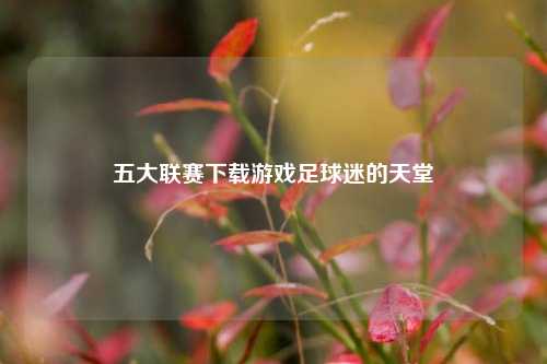 五大联赛下载游戏足球迷的天堂