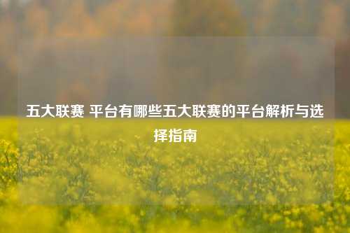 五大联赛 平台有哪些五大联赛的平台解析与选择指南