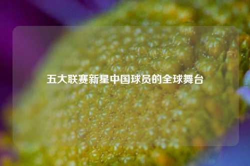 五大联赛新星中国球员的全球舞台