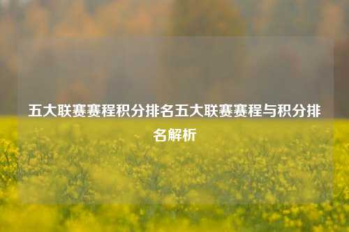五大联赛赛程积分排名五大联赛赛程与积分排名解析