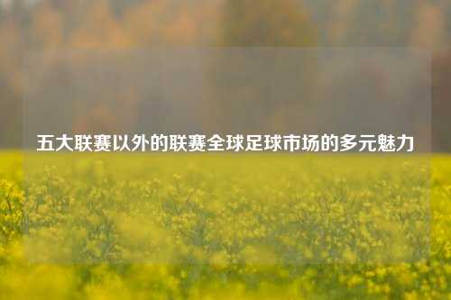 五大联赛以外的联赛全球足球市场的多元魅力