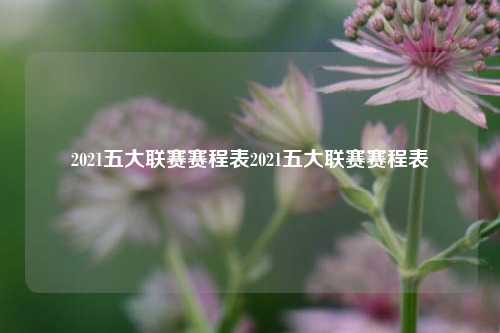2021五大联赛赛程表2021五大联赛赛程表
