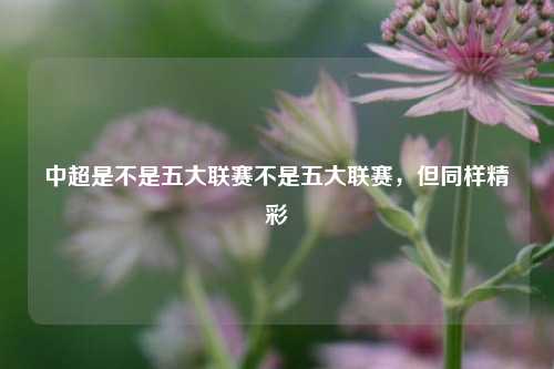 中超是不是五大联赛不是五大联赛，但同样精彩