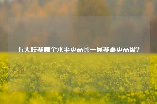 五大联赛哪个水平更高哪一届赛事更高级？