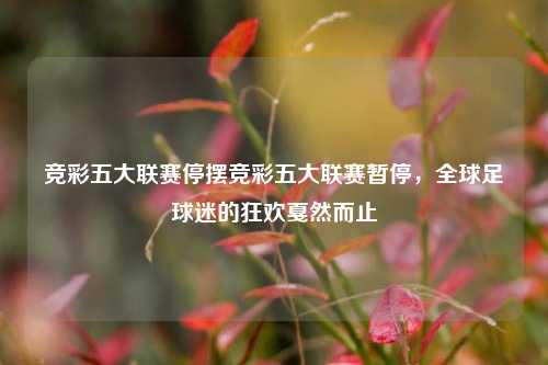 竞彩五大联赛停摆竞彩五大联赛暂停，全球足球迷的狂欢戛然而止