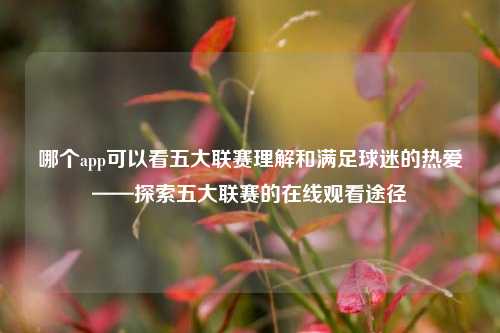 哪个app可以看五大联赛理解和满足球迷的热爱——探索五大联赛的在线观看途径