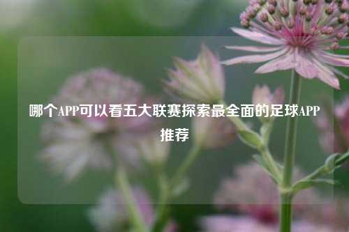 哪个APP可以看五大联赛探索最全面的足球APP推荐