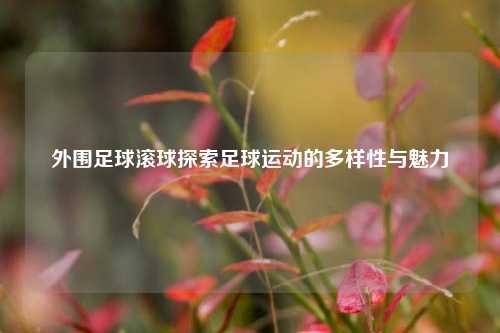 外围足球滚球探索足球运动的多样性与魅力