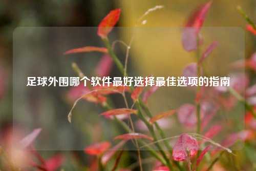 足球外围哪个软件最好选择最佳选项的指南