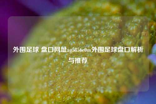 外围足球 盘口网址ag5856c0m外围足球盘口解析与推荐