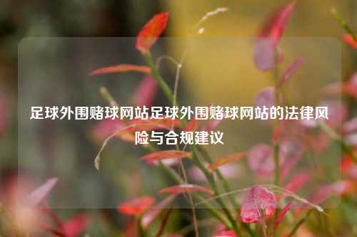 足球外围赌球网站足球外围赌球网站的法律风险与合规建议