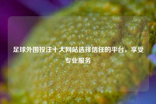 足球外围投注十大网站选择信任的平台，享受专业服务