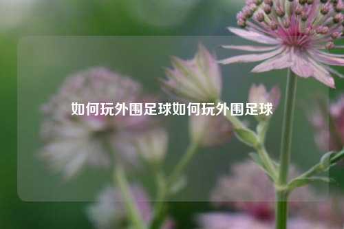 如何玩外围足球如何玩外围足球