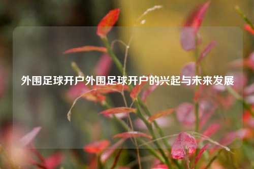 外围足球开户外围足球开户的兴起与未来发展