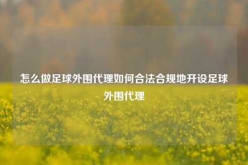 怎么做足球外围代理如何合法合规地开设足球外围代理