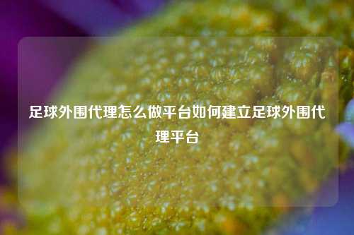 足球外围代理怎么做平台如何建立足球外围代理平台