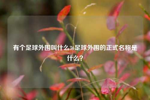 有个足球外围叫什么36足球外围的正式名称是什么？