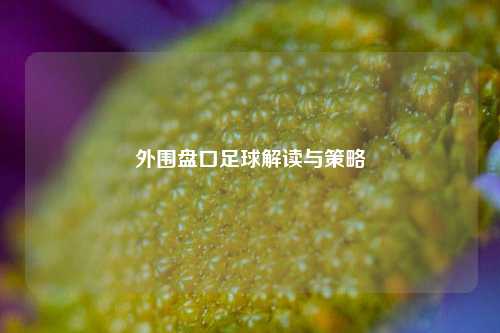 外围盘口足球解读与策略