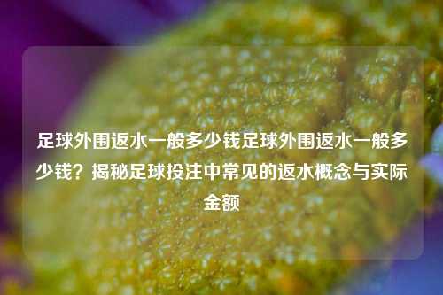 足球外围返水一般多少钱足球外围返水一般多少钱？揭秘足球投注中常见的返水概念与实际金额