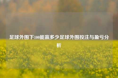 足球外围下100能赢多少足球外围投注与盈亏分析