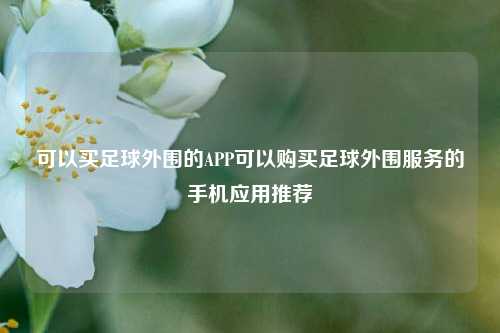 可以买足球外围的APP可以购买足球外围服务的手机应用推荐