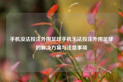 手机没法投注外围足球手机无法投注外围足球的解决方案与注意事项
