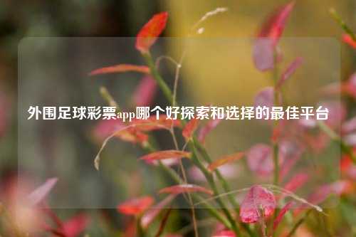 外围足球彩票app哪个好探索和选择的最佳平台