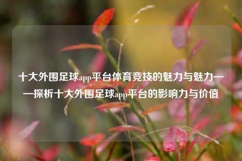 十大外围足球app平台体育竞技的魅力与魅力——探析十大外围足球app平台的影响力与价值