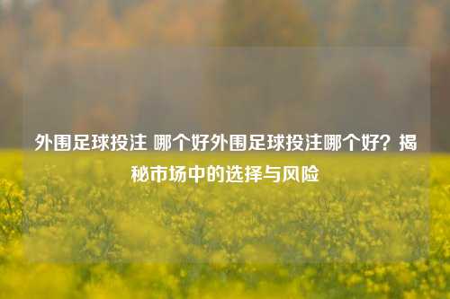 外围足球投注 哪个好外围足球投注哪个好？揭秘市场中的选择与风险