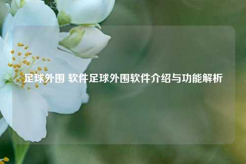 足球外围 软件足球外围软件介绍与功能解析