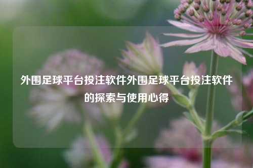 外围足球平台投注软件外围足球平台投注软件的探索与使用心得