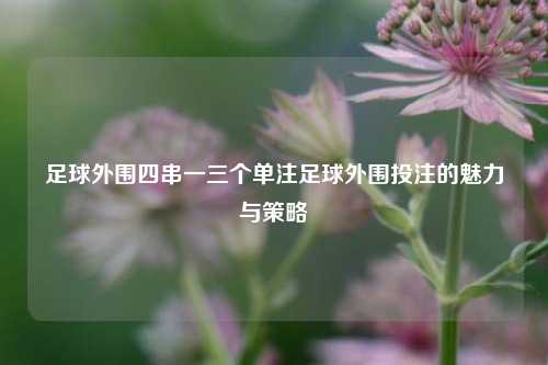 足球外围四串一三个单注足球外围投注的魅力与策略